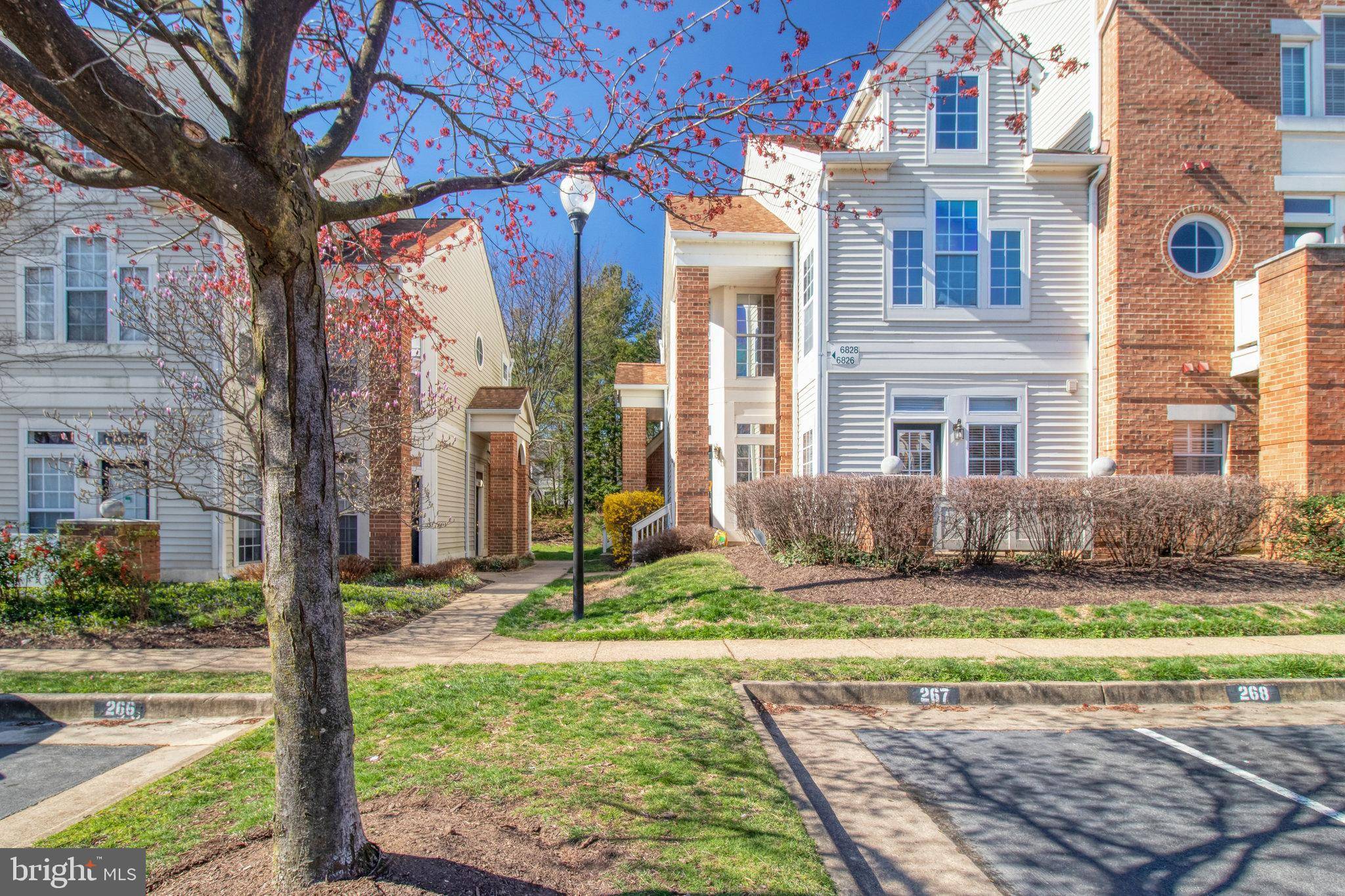 Alexandria, VA 22315,6828 BRINDLE HEATH WAY #250