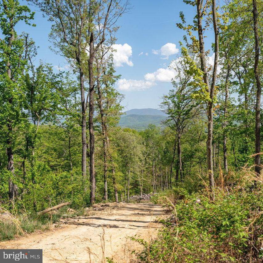 Stanley, VA 22851,LOT 2 GALLOWAY SPRING LN