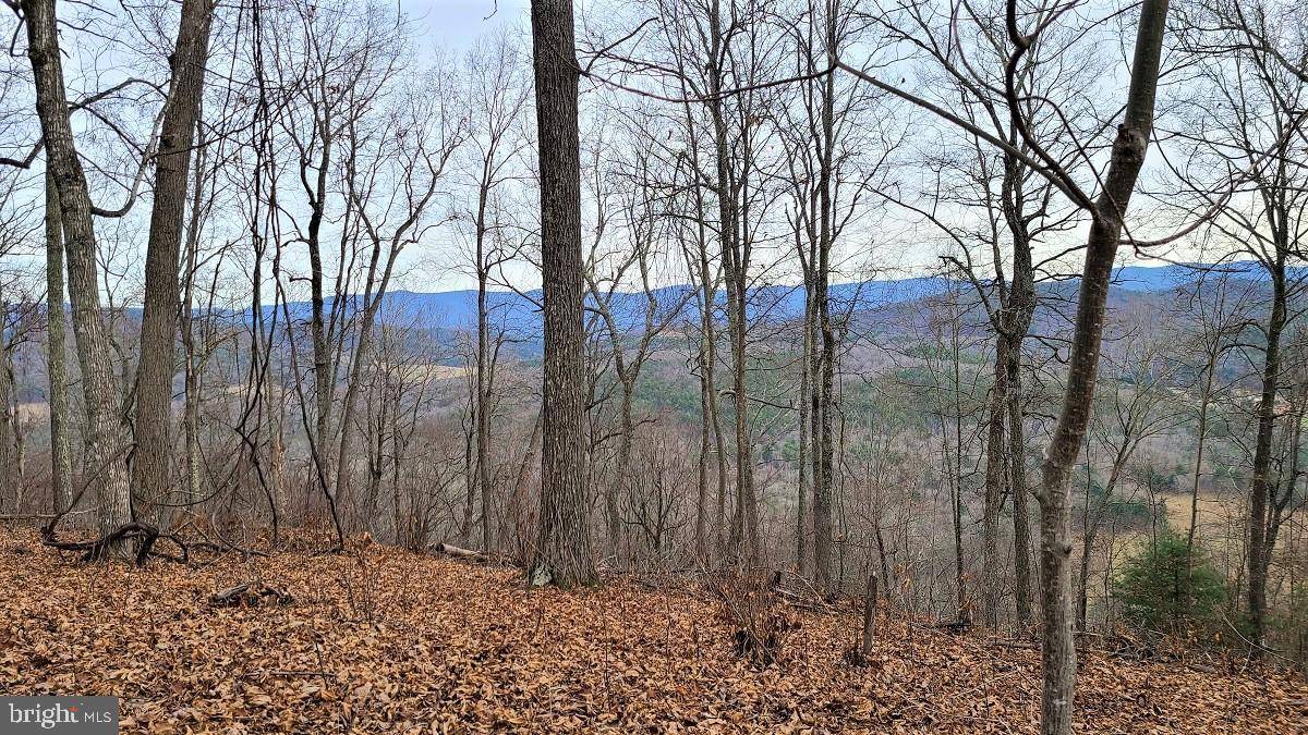 Sugar Grove, WV 26815,LOT #23 STONE FLY DRIVE