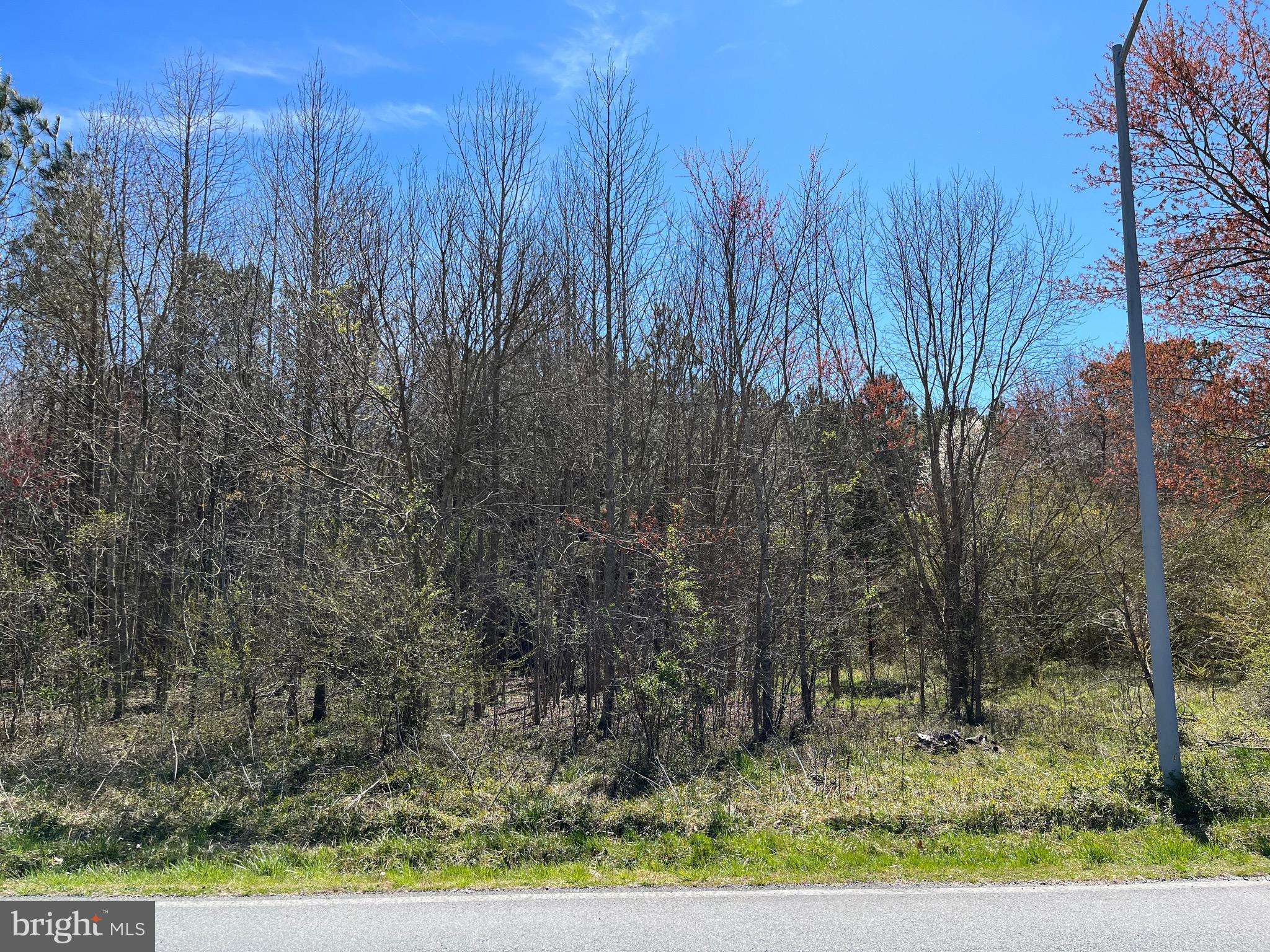 Pocomoke City, MD 21851,PARCEL 91 UNIONVILLE RD