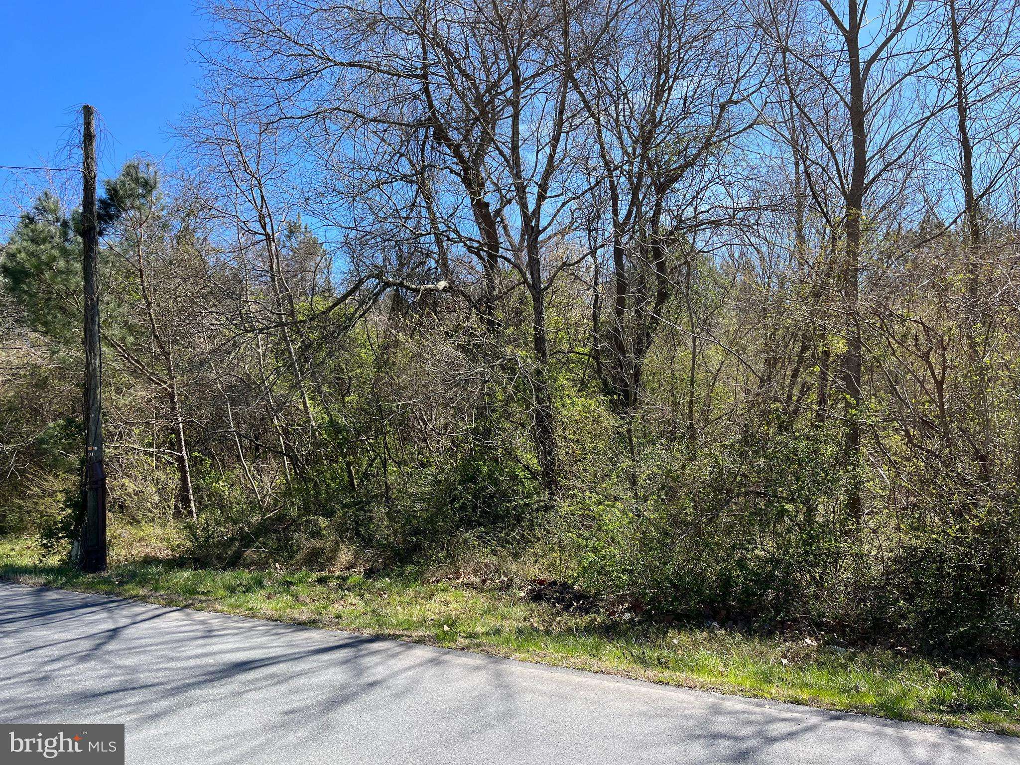 Pocomoke City, MD 21851,PARCEL 92 UNIONVILLE RD