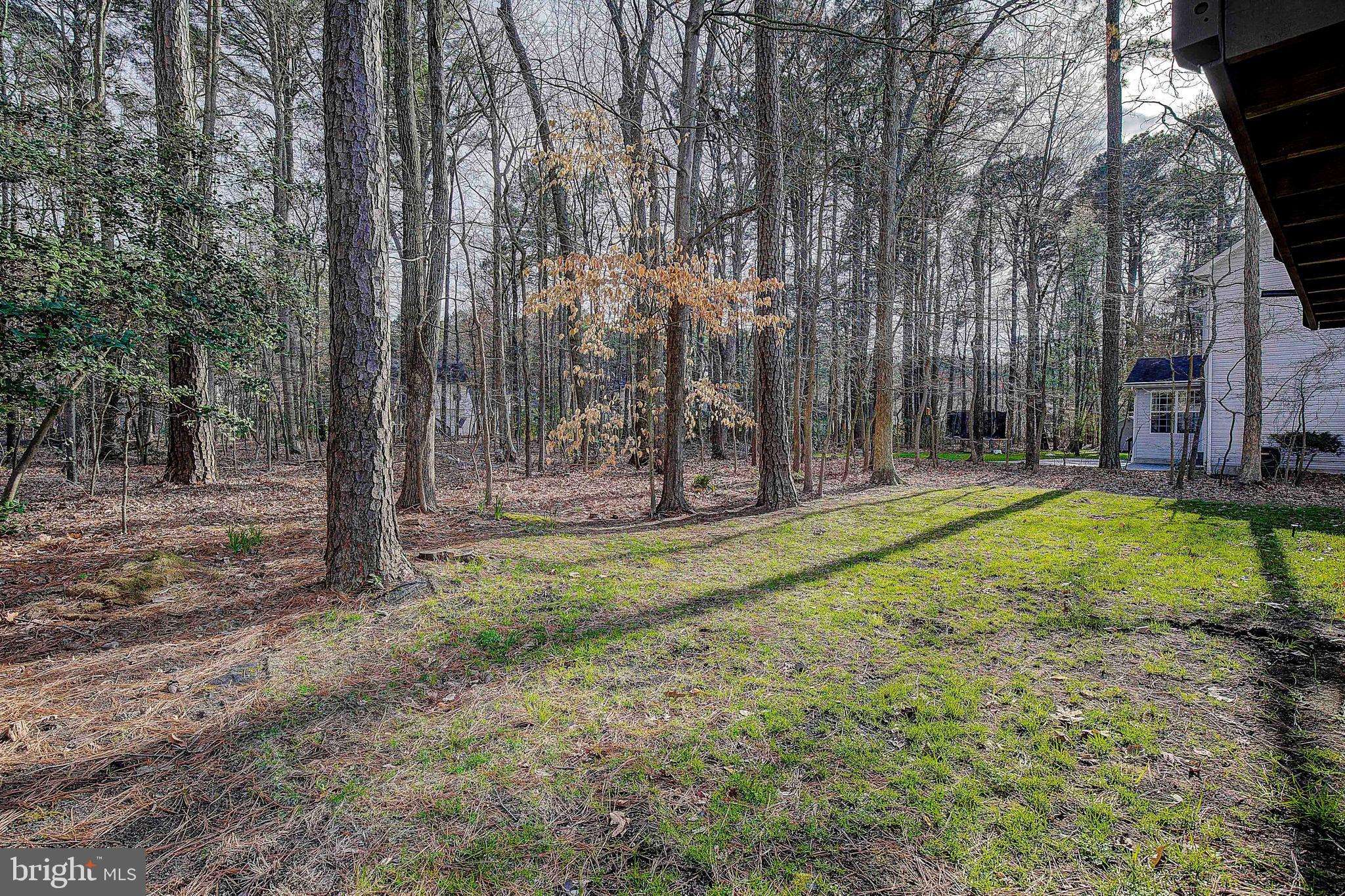 Grasonville, MD 21638,355 TIMBER LN