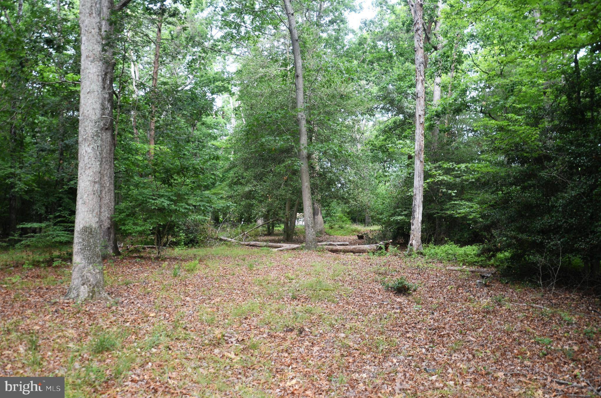 Waldorf, MD 20601,16106 BEALLE HILL RD