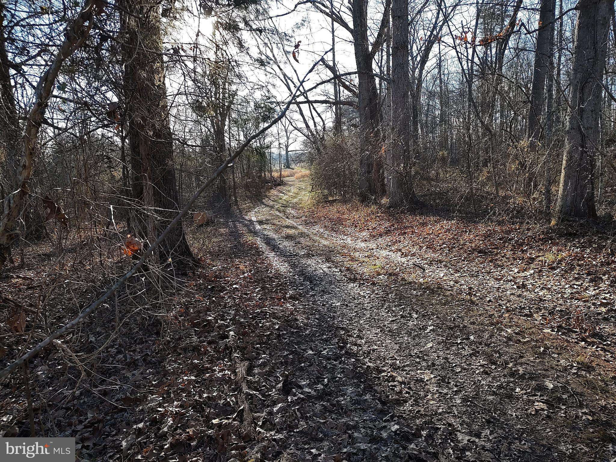 Culpeper, VA 22701,LOT 32D-4-1 INLET ROAD