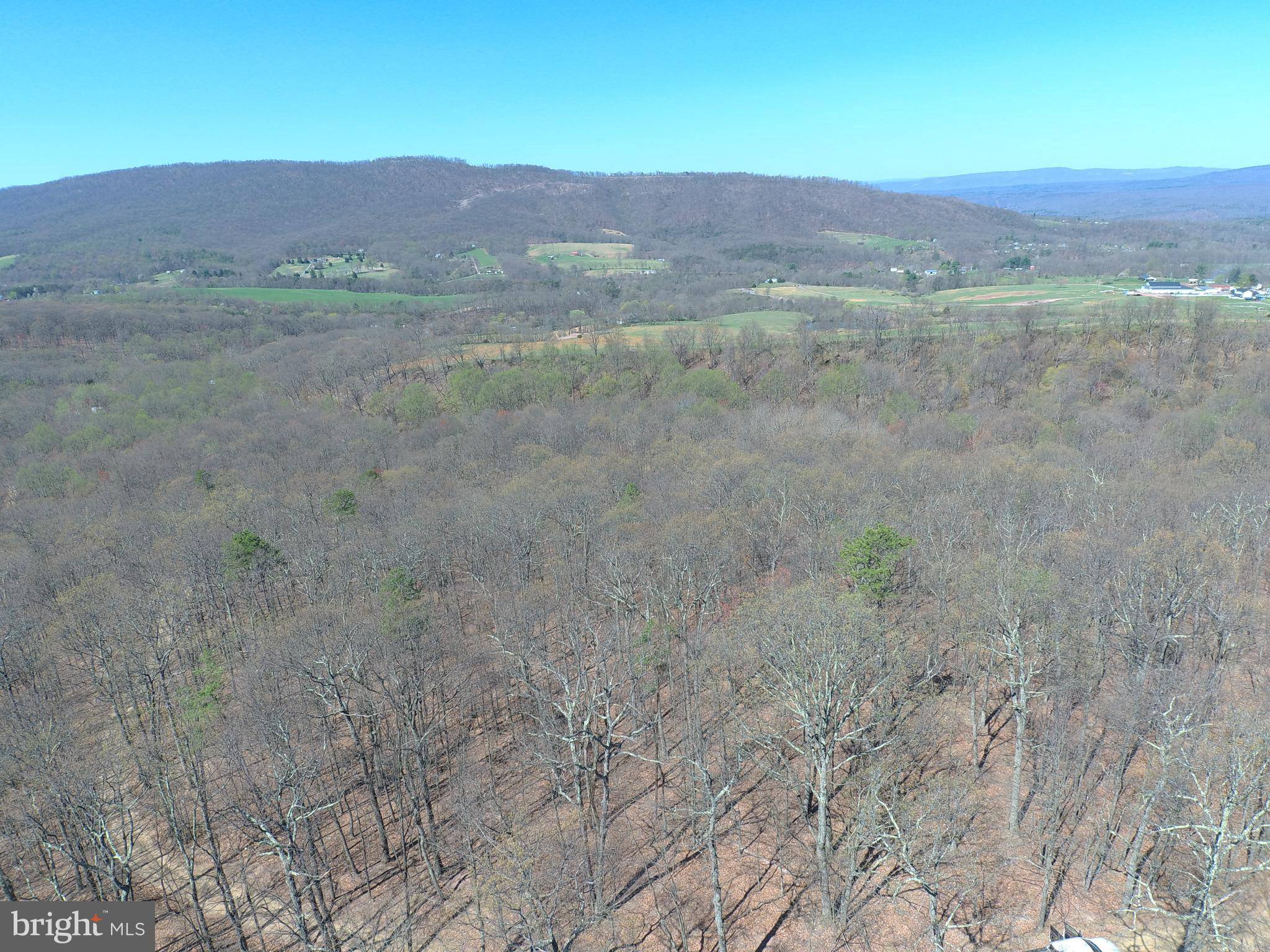 Paw Paw, WV 25434,35 ACRES ORCHARD LANE