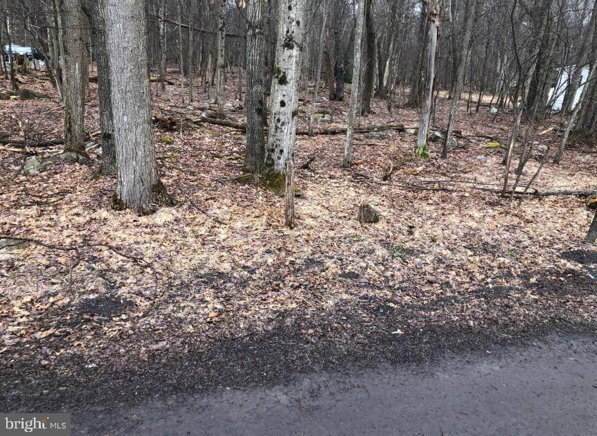 Pocono Summit, PA 18346,DEER PATH LOT 7