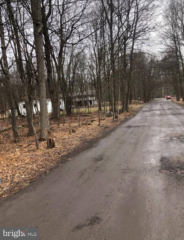 Pocono Summit, PA 18346,DEER PATH LOT 7