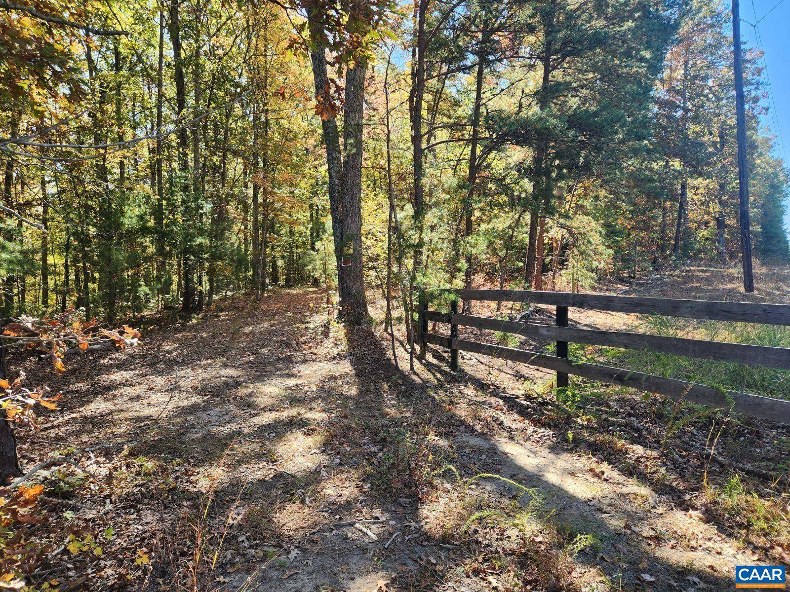 Dyke, VA 22935,TBD SOPHIES PINE LN