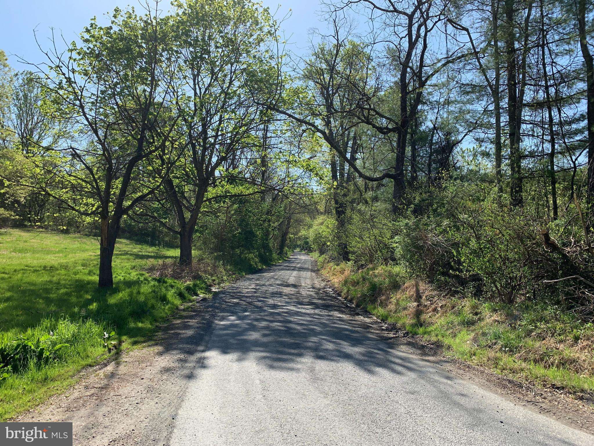 Huntly, VA 22640,LITTLE LONG MOUNTAIN