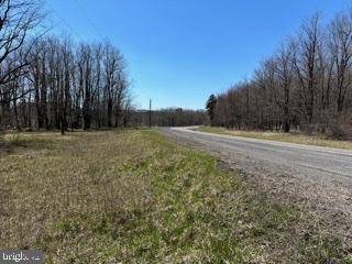 Mount Storm, WV 26739,SPRUCE RIDGE LOT 21