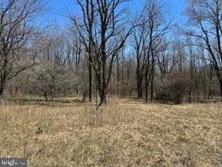 Mount Storm, WV 26739,SPRUCE RIDGE LOT 21