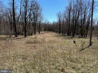 Mount Storm, WV 26739,SPRUCE RIDGE LOT 21