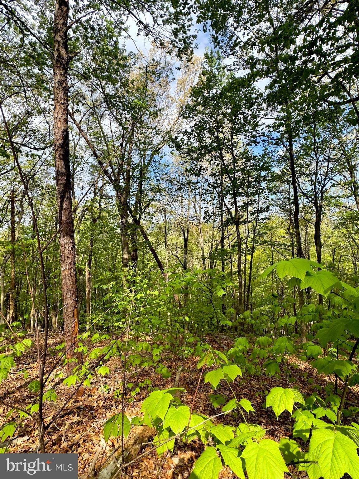 Upper Tract, WV 26866,1765 PETERS MOUNTAIN LN