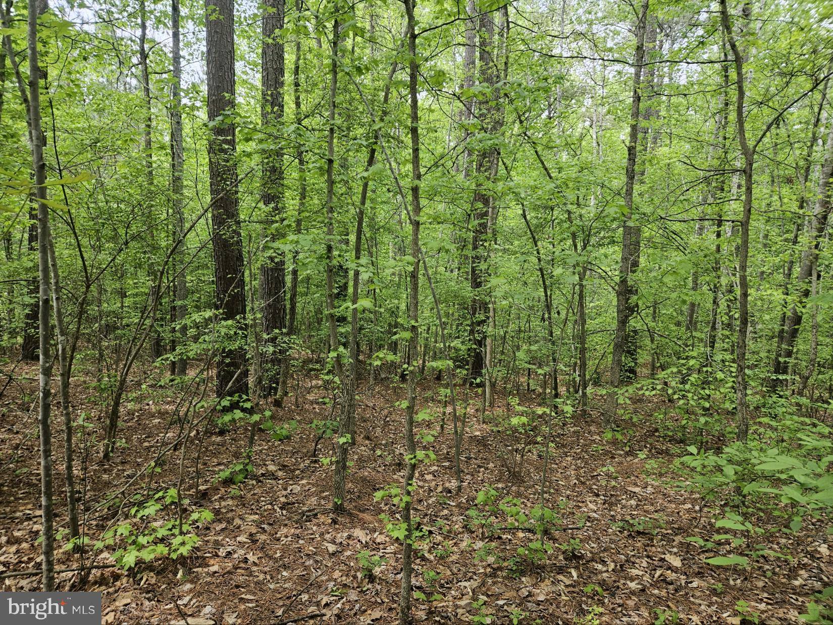 Bumpass, VA 23024,LOT 29 EASTHAM ROAD