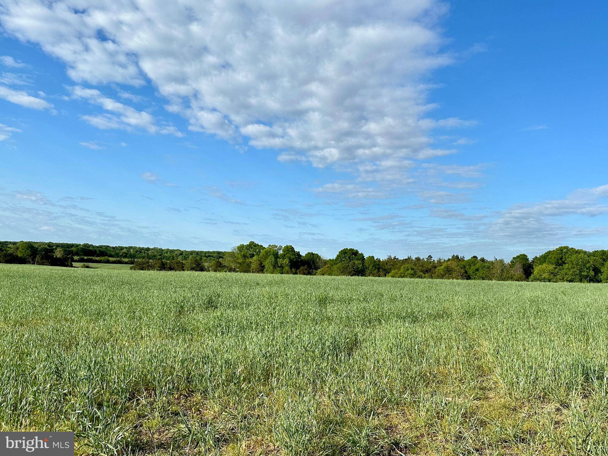 Unionville, VA 22567,LOT 2 ZACHARY TAYLOR HWY