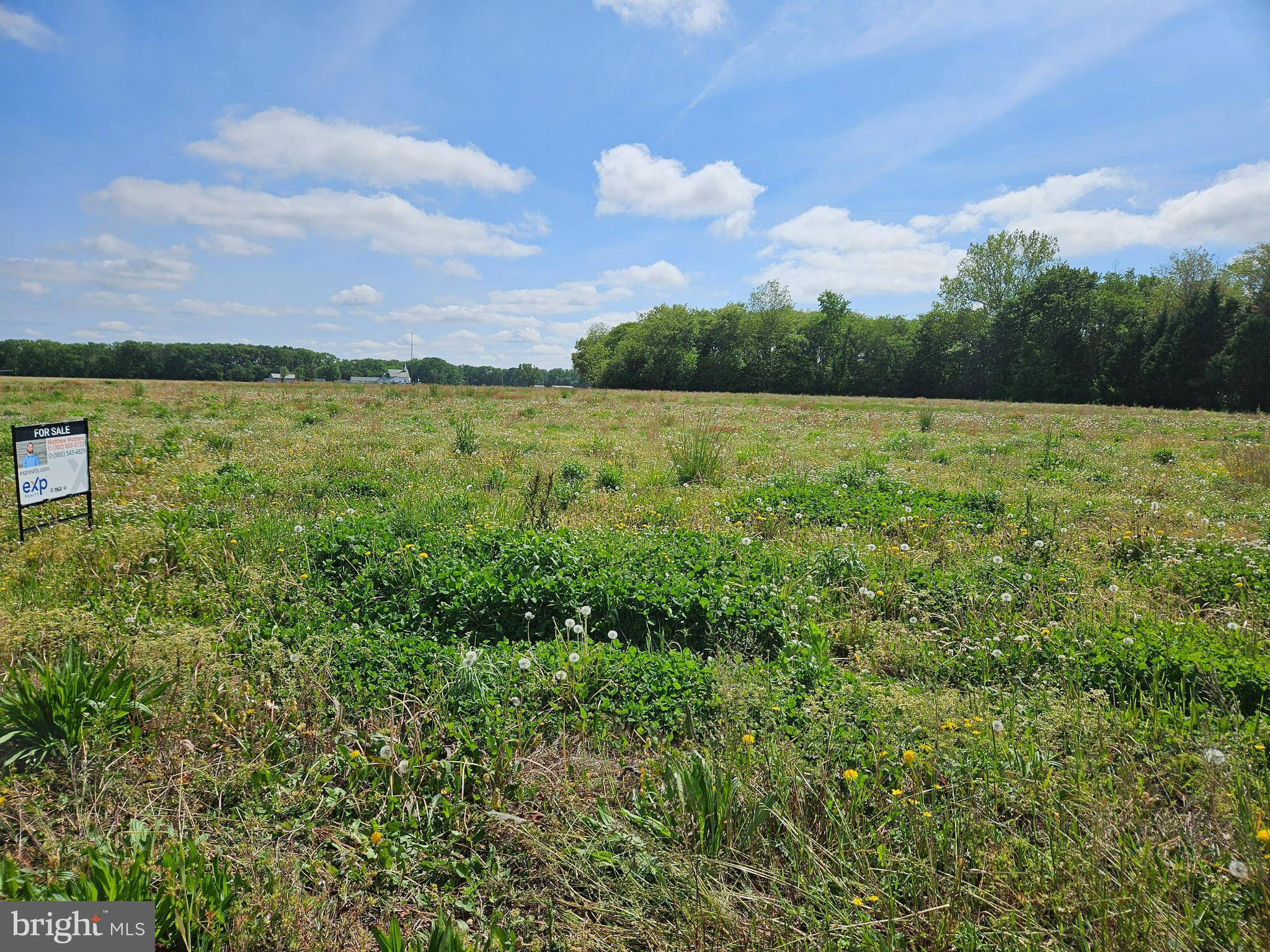 Laurel, DE 19956,LOT 1 33040 GORDY RD