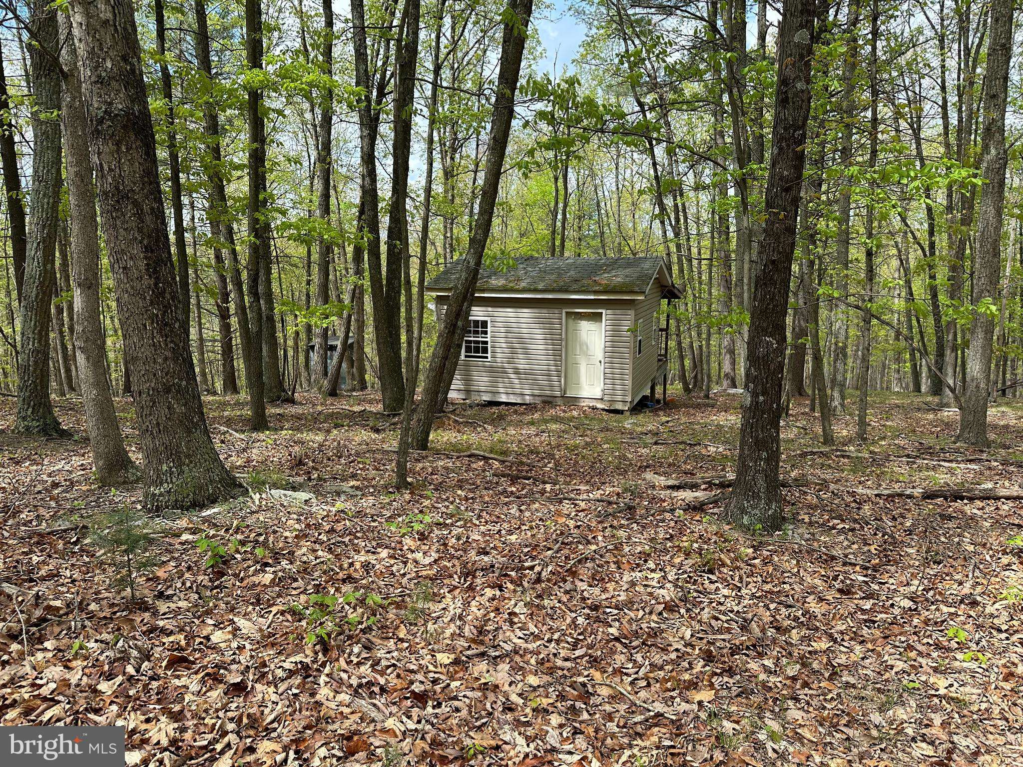 Augusta, WV 26704,LOT 54 CACAPON MOUNTAIN RETREAT