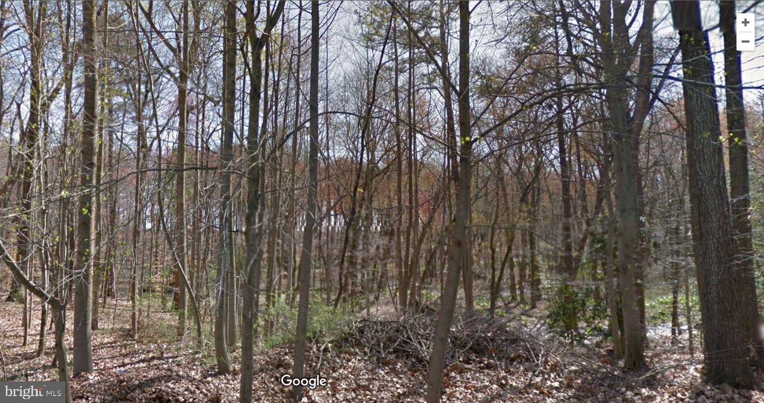 Felton, DE 19943,PRATTS BRANCH RD #LOT #23