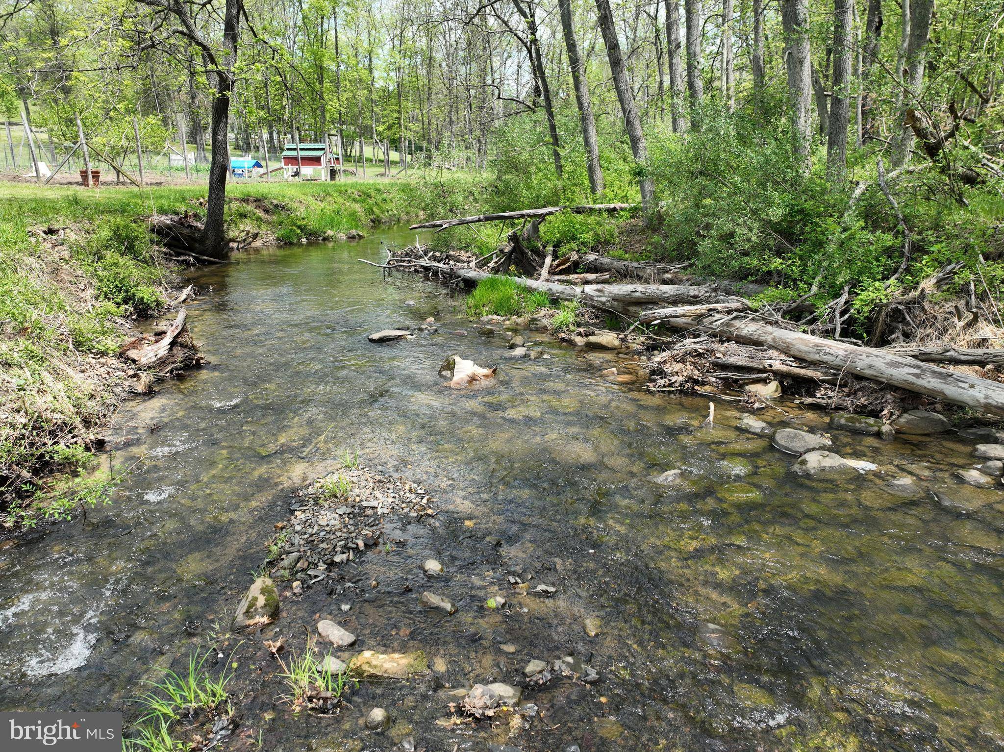 Capon Bridge, WV 26711,LOT 3 NORTH LAUREL RIDGE