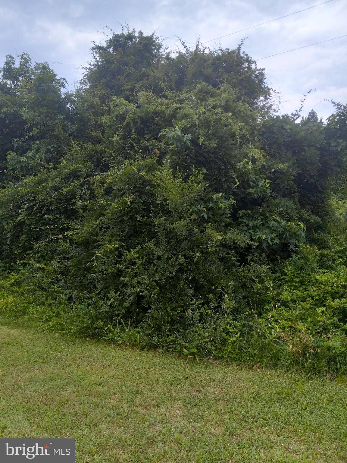 Spotsylvania, VA 22553,0 LEWIS ESTATES LANE - LOT 3