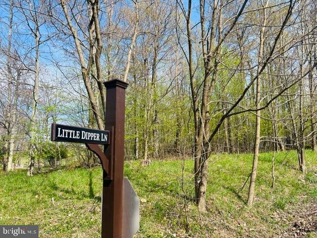 Mc Henry, MD 21541,LITTLE DIPPER LN #LOT 1