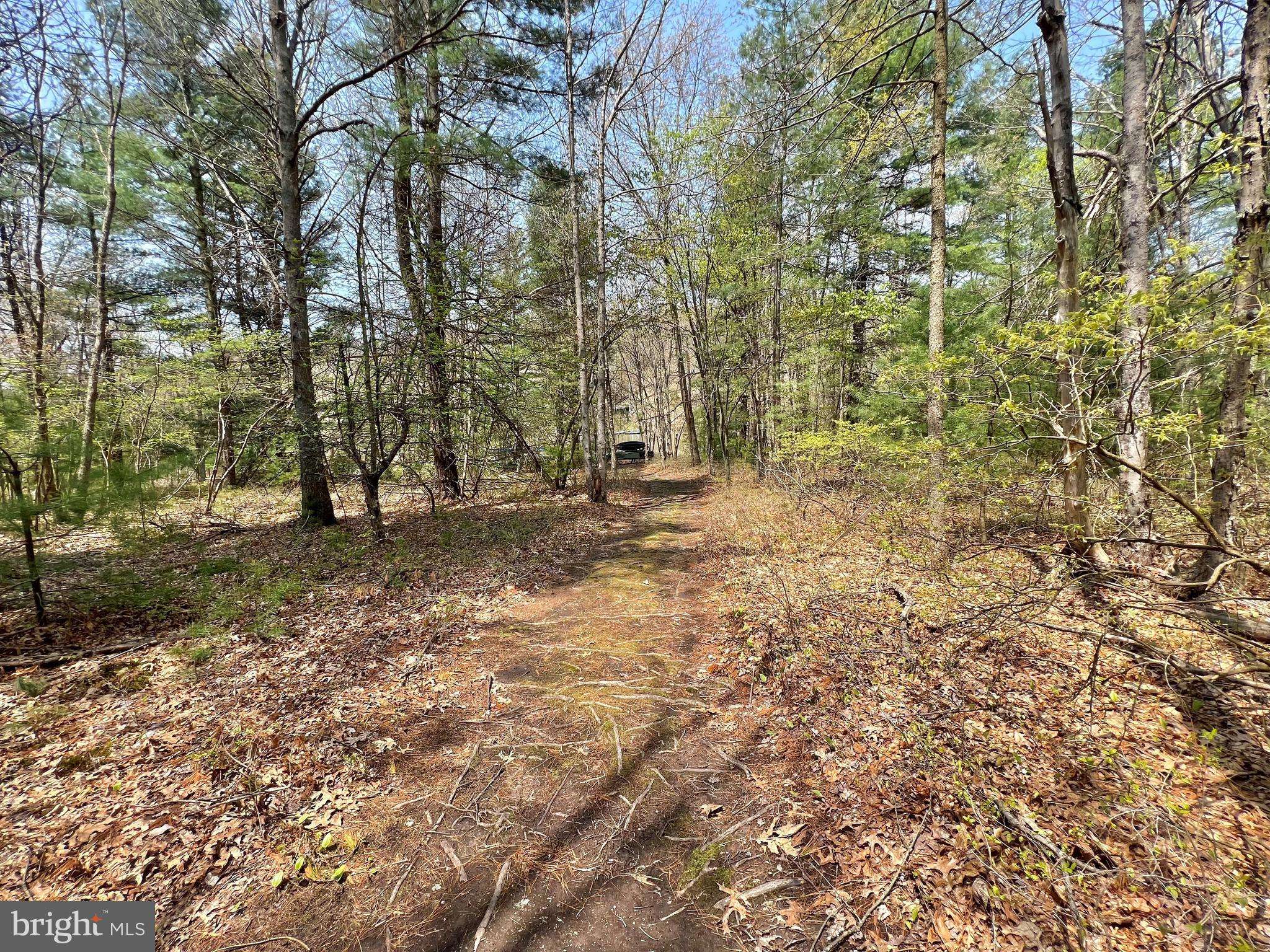 Swanton, MD 21561,LOT 14 SNOW BIRD LN