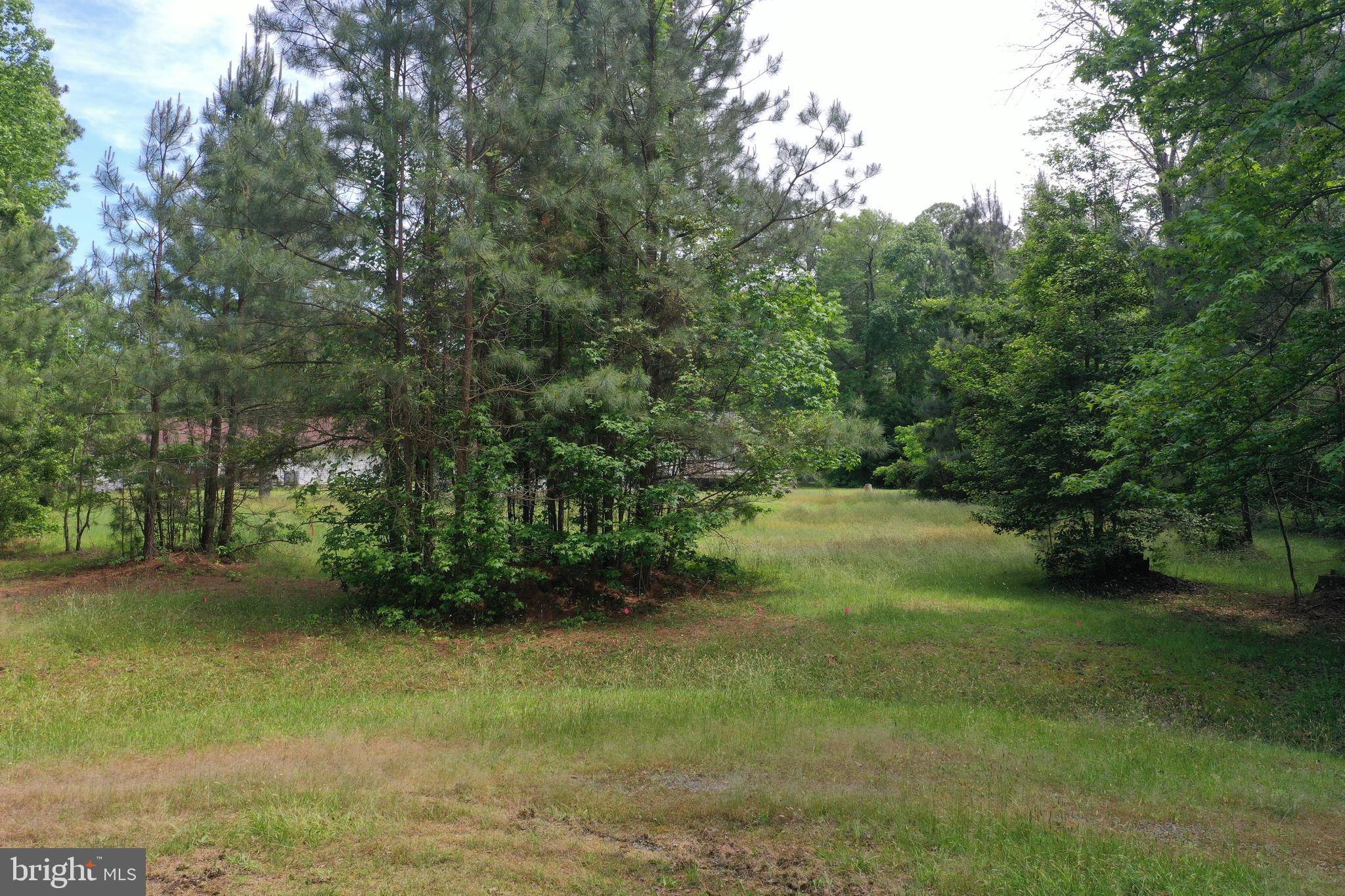 Montross, VA 22520,LOT #12 BASS WAY