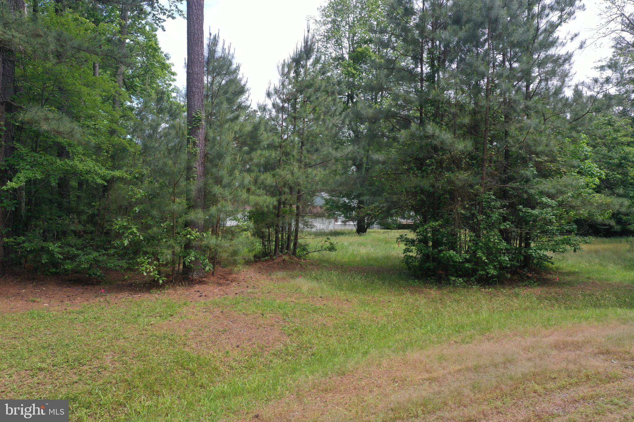 Montross, VA 22520,LOT #12 BASS WAY