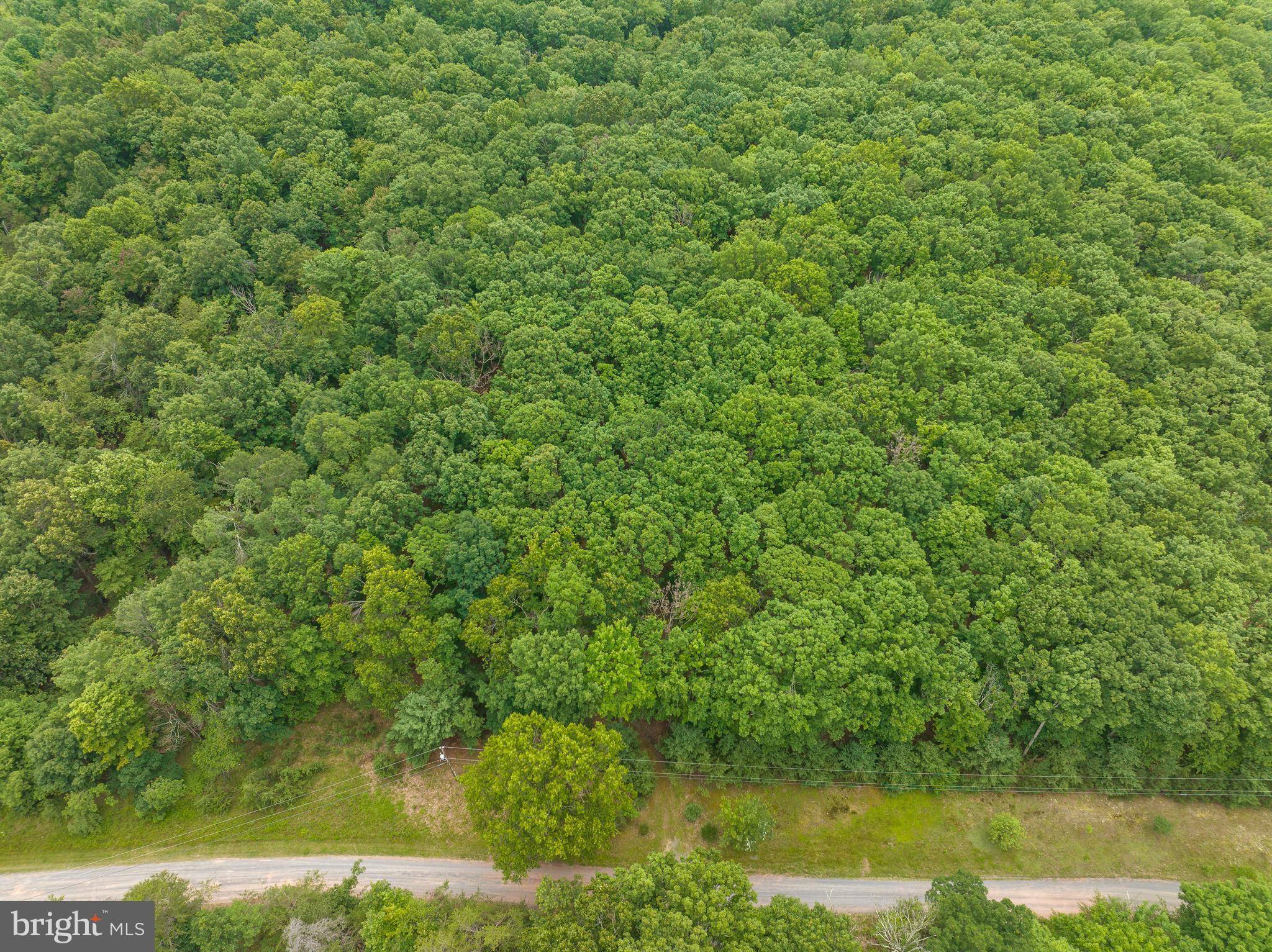 Paw Paw, WV 25434,LOT #38 WHISPERING PINES RD