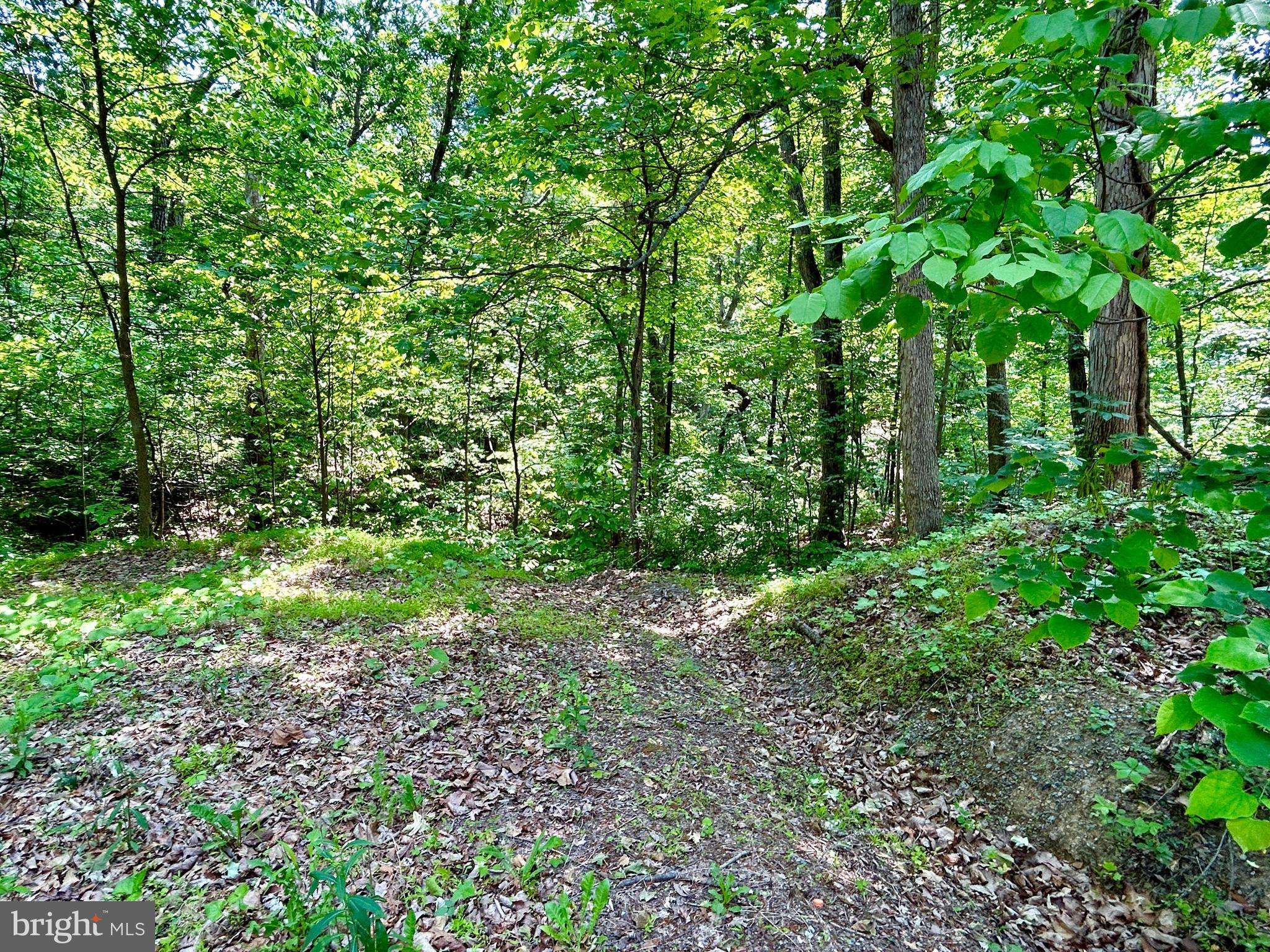 Gerrardstown, WV 25420,LOT 29 SUGAR MAPLE LN