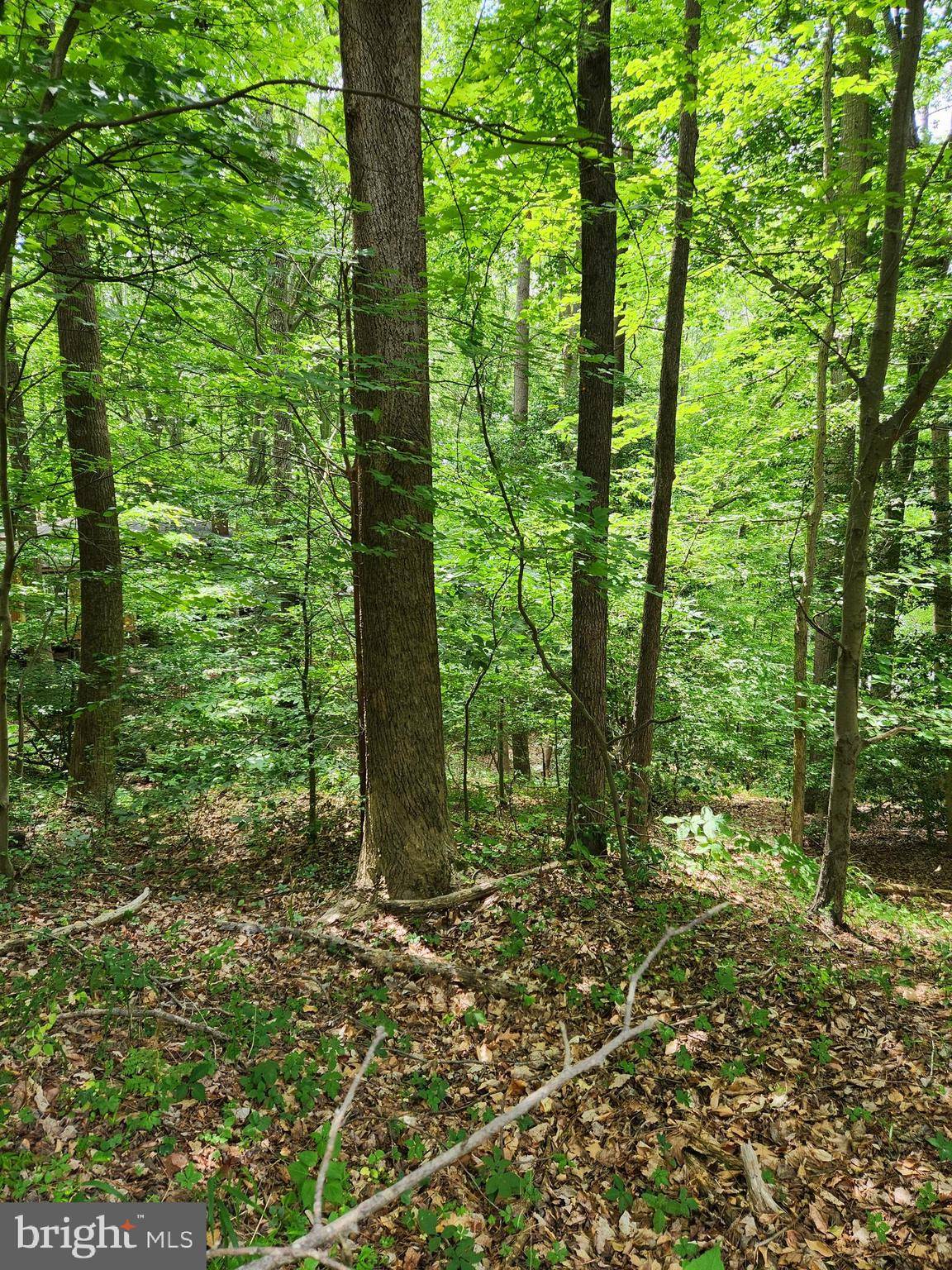 Montross, VA 22520,LOT 57 PLANTATION