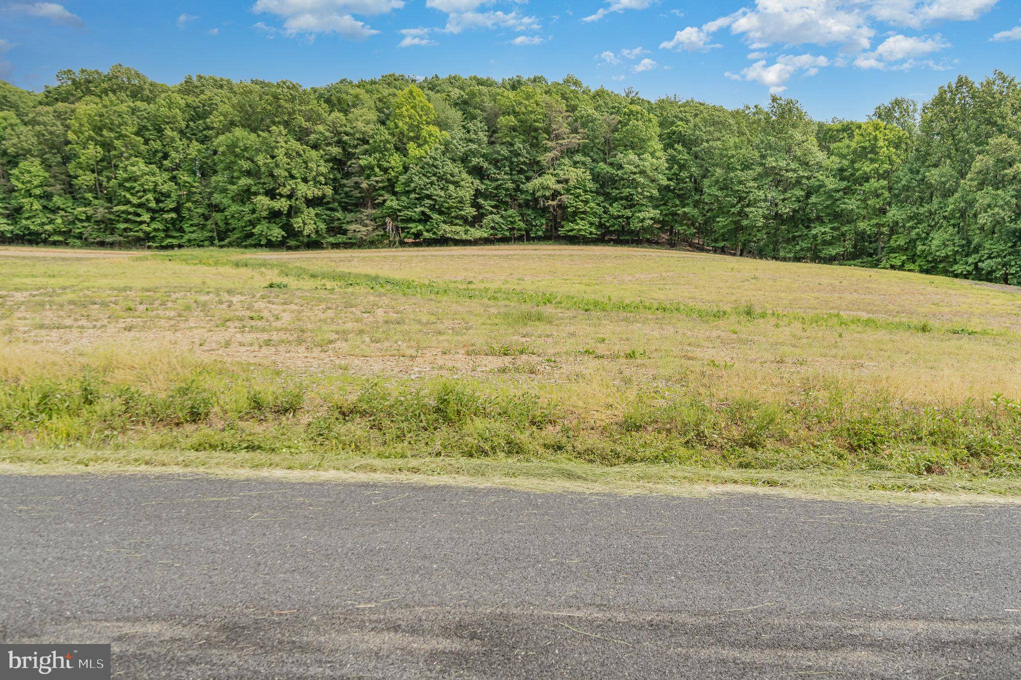 Liverpool, PA 17045,0 KLINE HOLLOW RD LOT 10