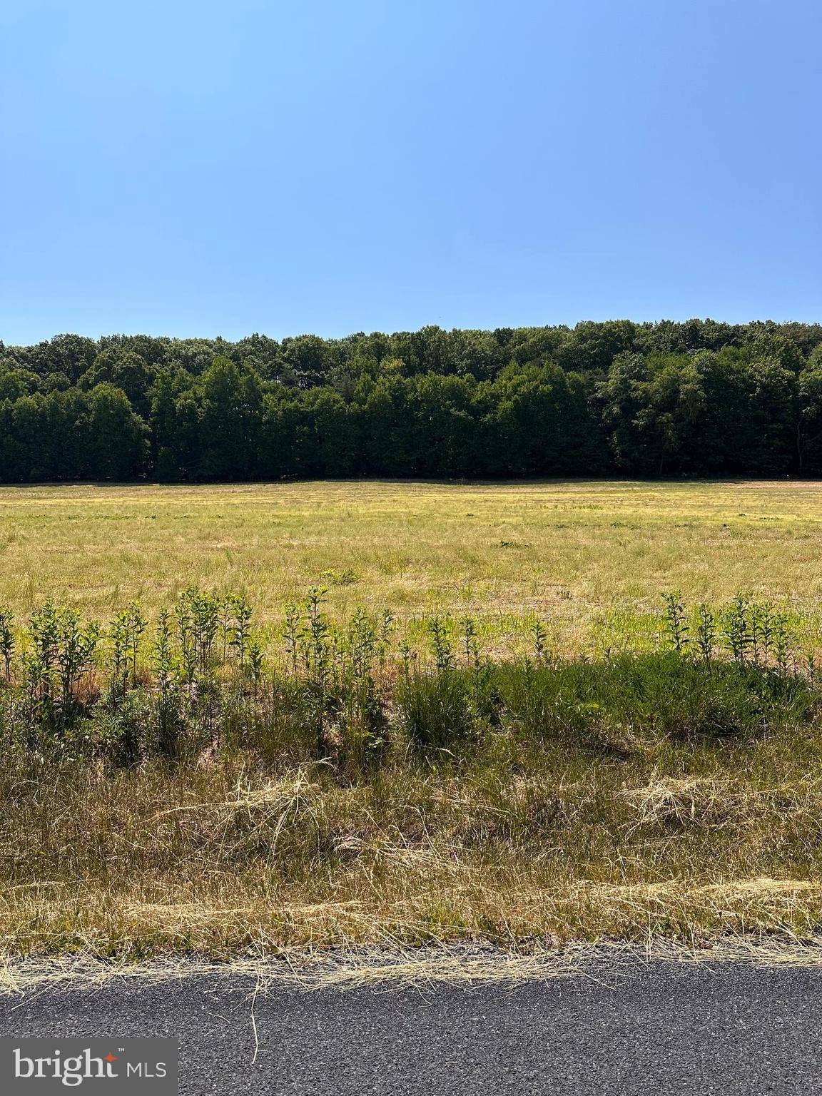 Liverpool, PA 17045,0 KLINE HOLLOW RD LOT 11