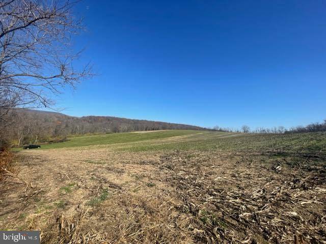 Mifflintown, PA 17059,LOT #2 HORNINGTOWN ROAD