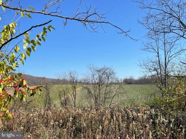 Mifflintown, PA 17059,LOT #2 HORNINGTOWN ROAD