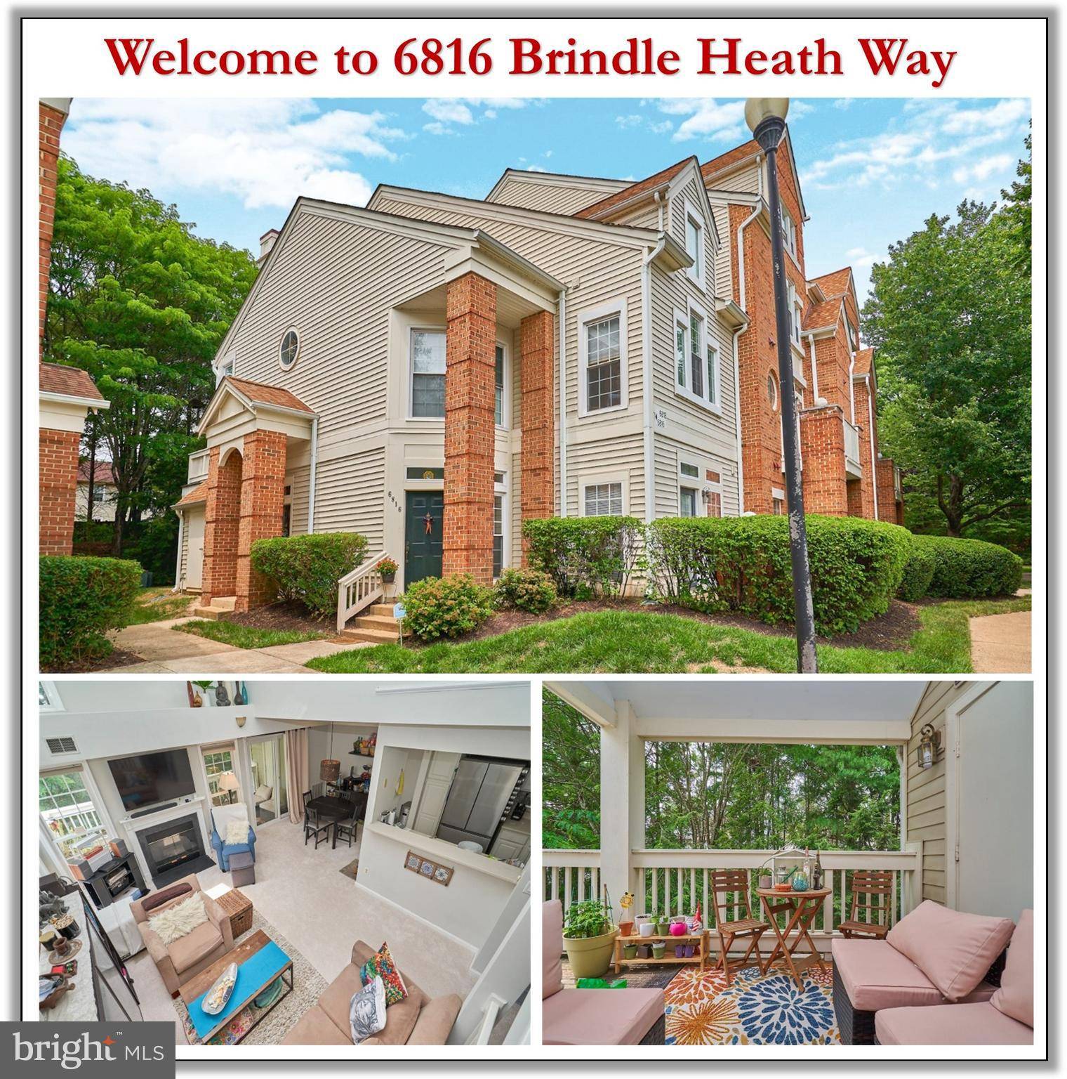 Alexandria, VA 22315,6816 BRINDLE HEATH WAY #259