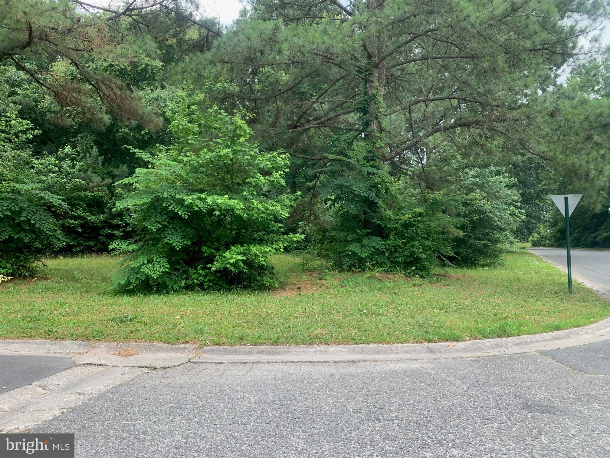 Pocomoke City, MD 21851,LOT 47 WHITE OAKS LN