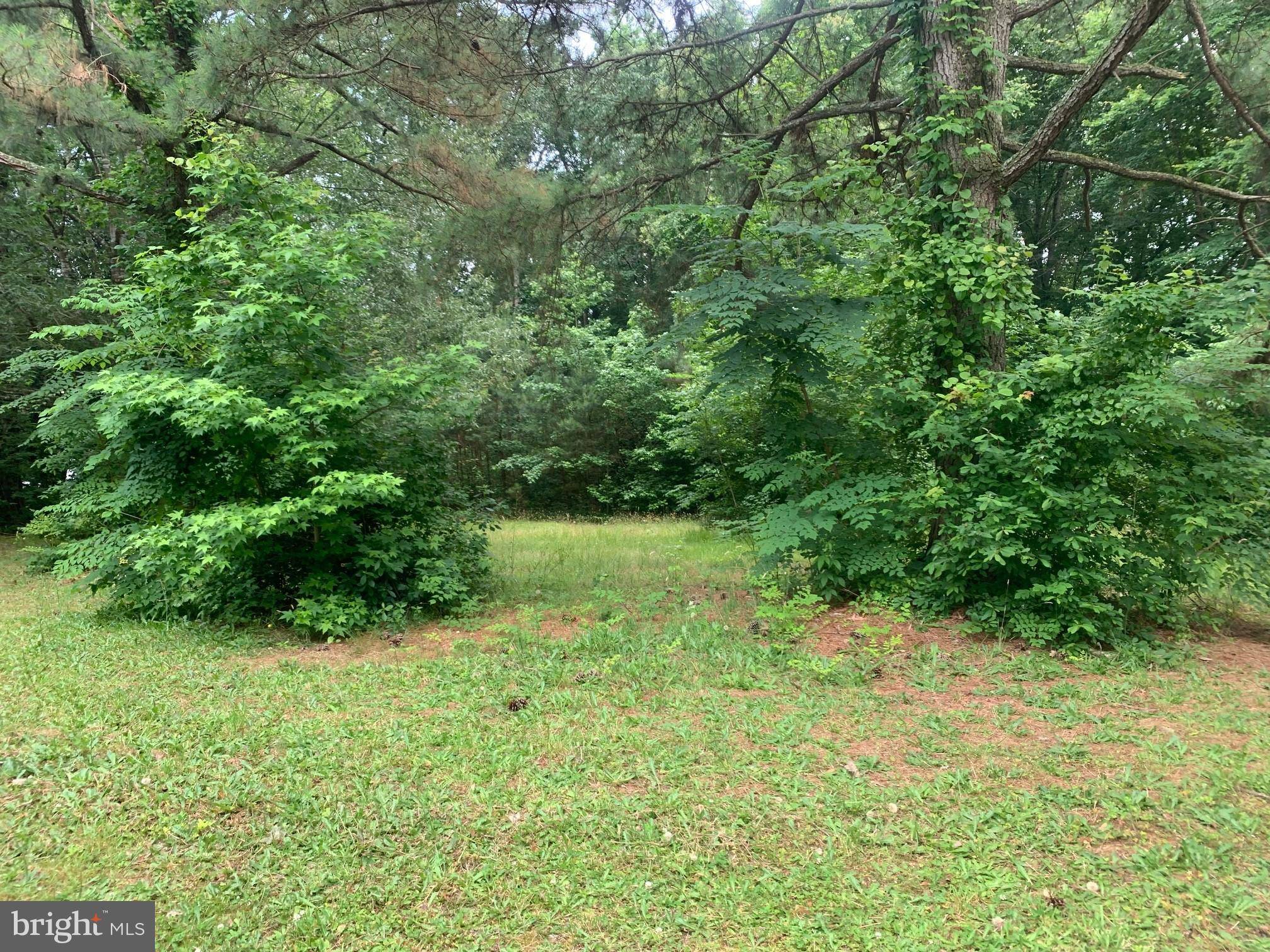 Pocomoke City, MD 21851,LOT 47 WHITE OAKS LN