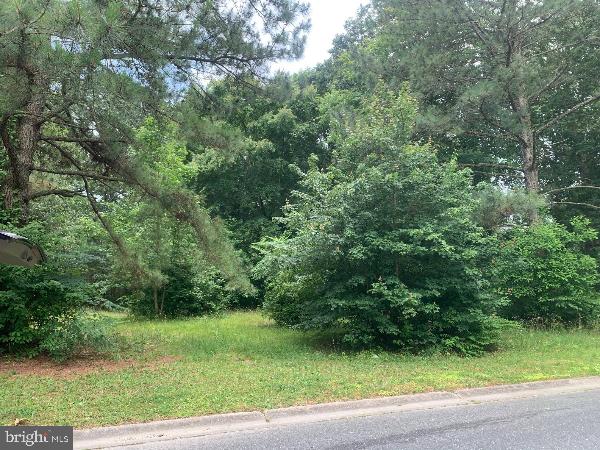 Pocomoke City, MD 21851,LOT 47 WHITE OAKS LN