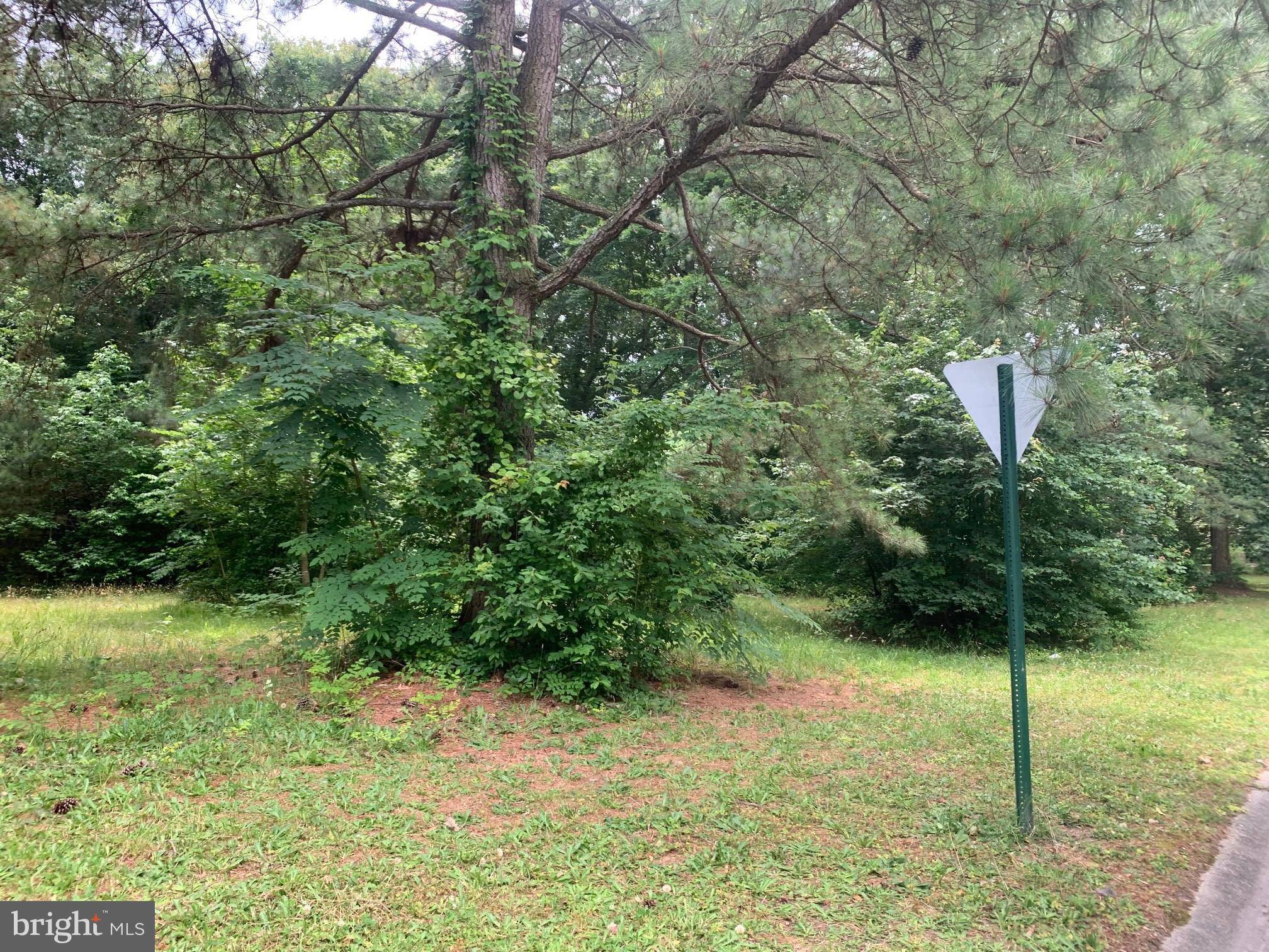 Pocomoke City, MD 21851,LOT 47 WHITE OAKS LN