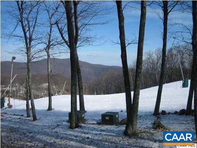 Wintergreen Resort, VA 22967,136 EAGLES CT CONDOS #136