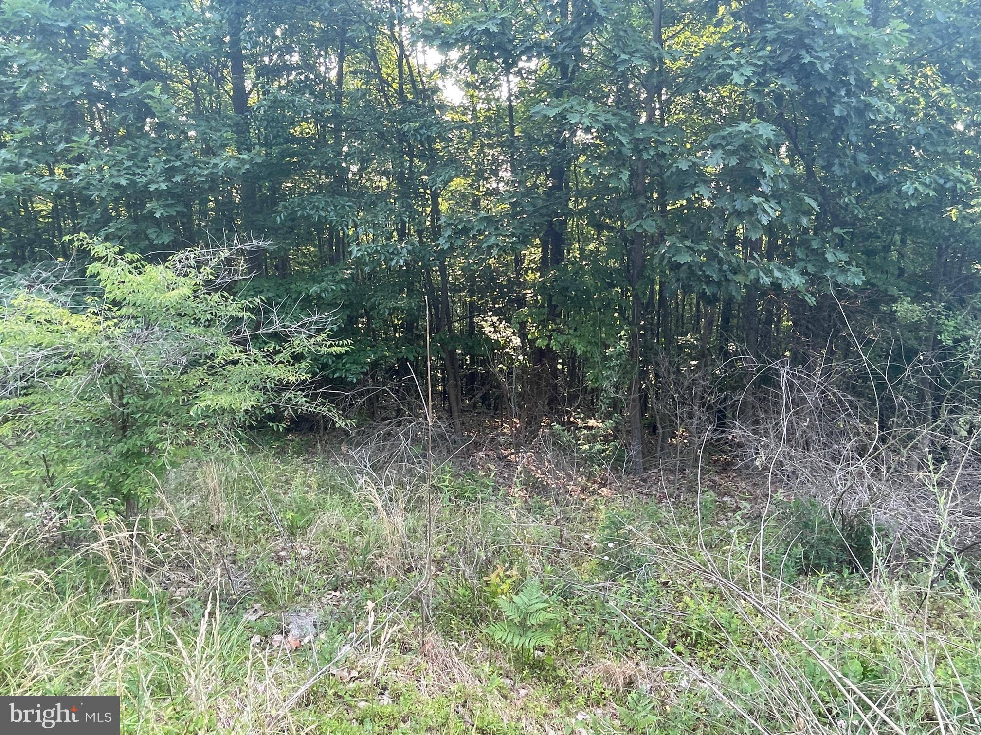 Mcconnellsburg, PA 17233,00 ROUTE 30, LOT 1