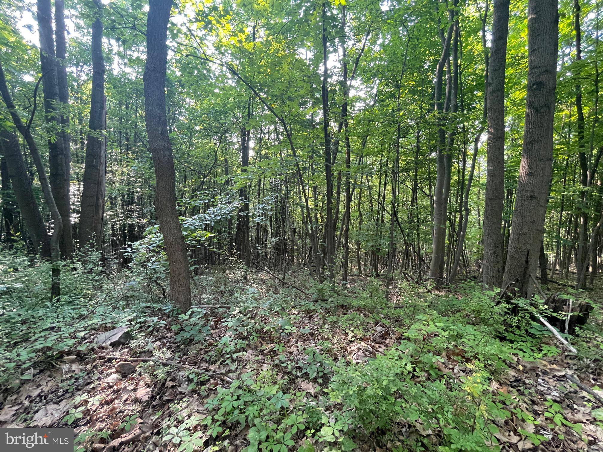 Mcconnellsburg, PA 17233,00 ROUTE 30, LOT 1