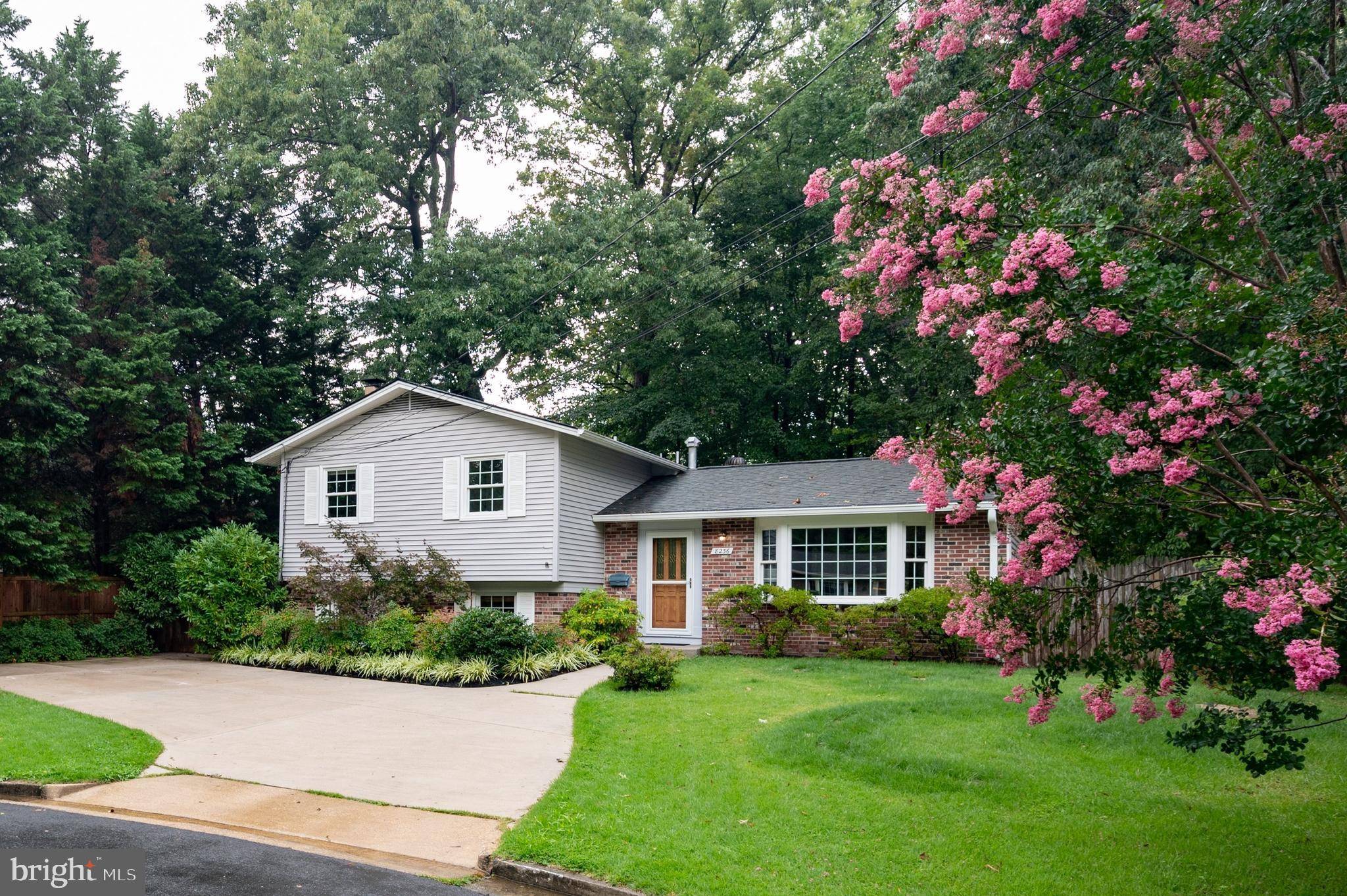 Alexandria, VA 22308,8236 GOVERNORS CT