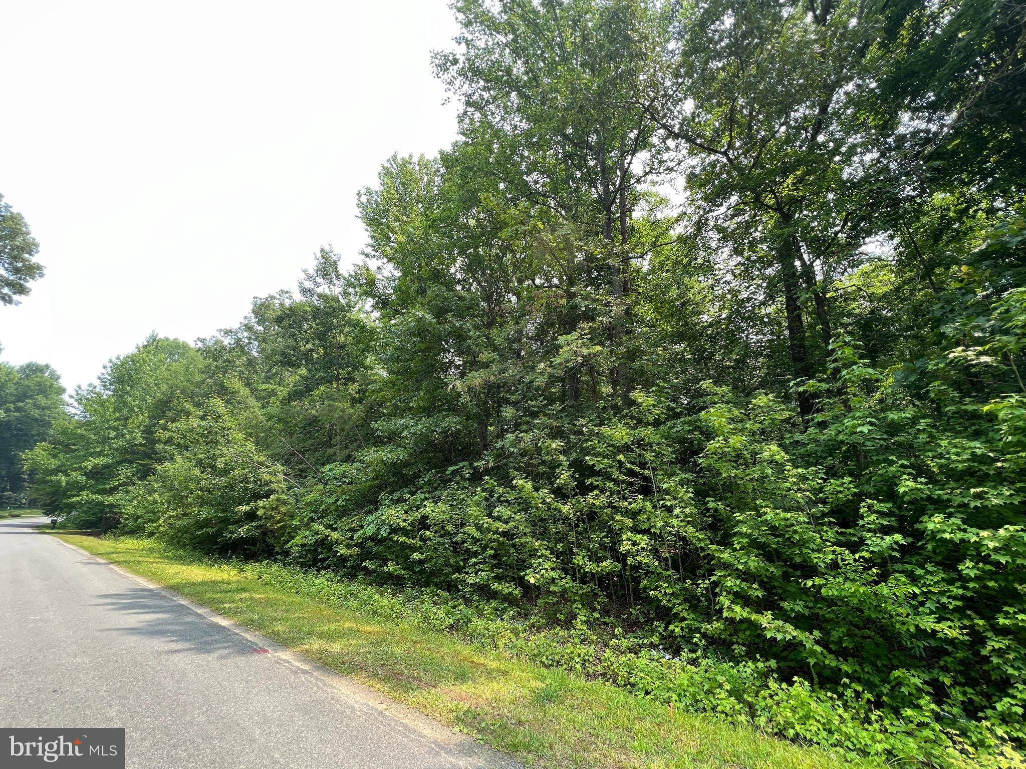 Bumpass, VA 23024,LOT 155 CUCKOO'S NEST DR