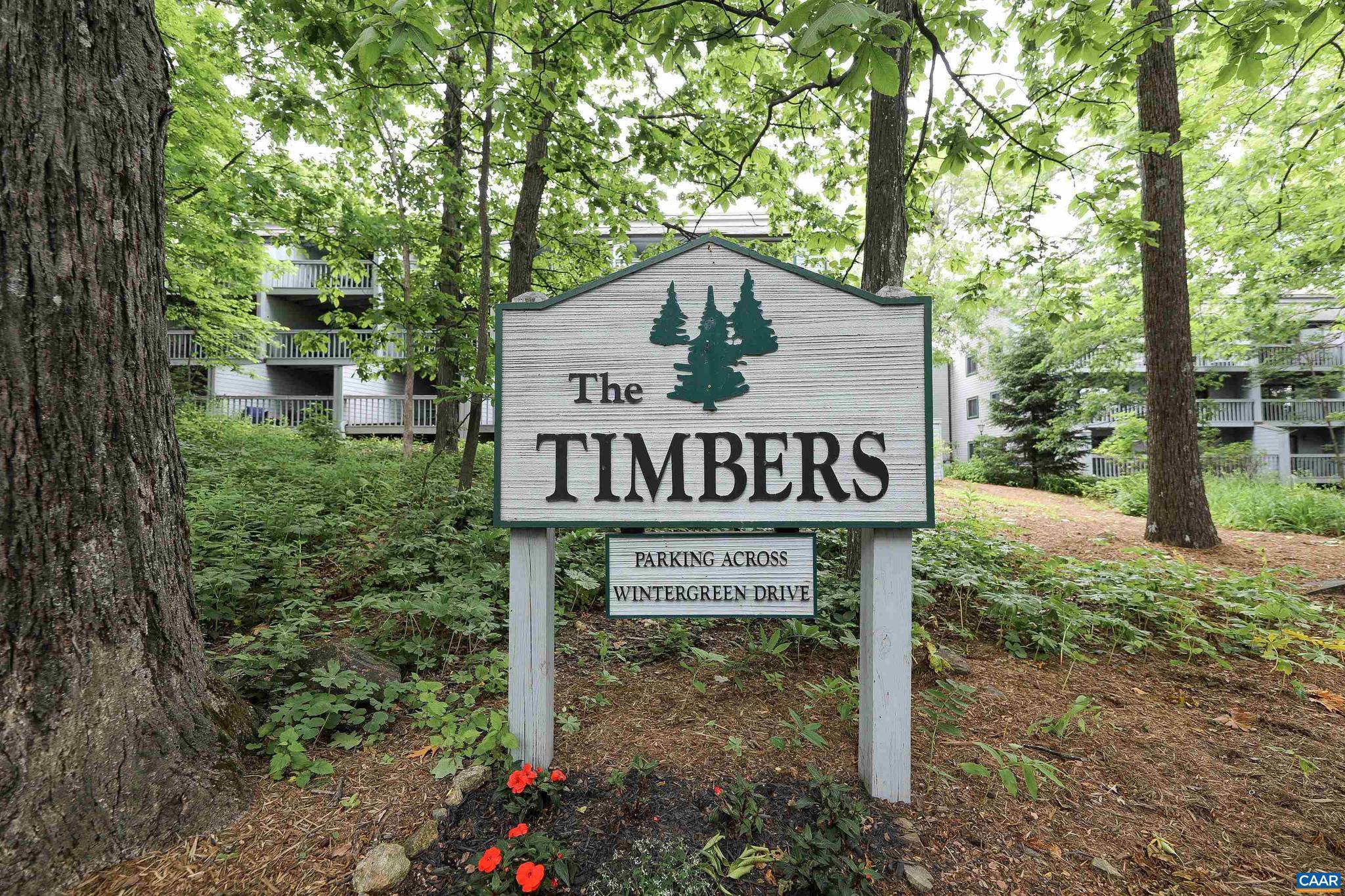 Wintergreen Resort, VA 22967,249 TIMBERS CONDOS