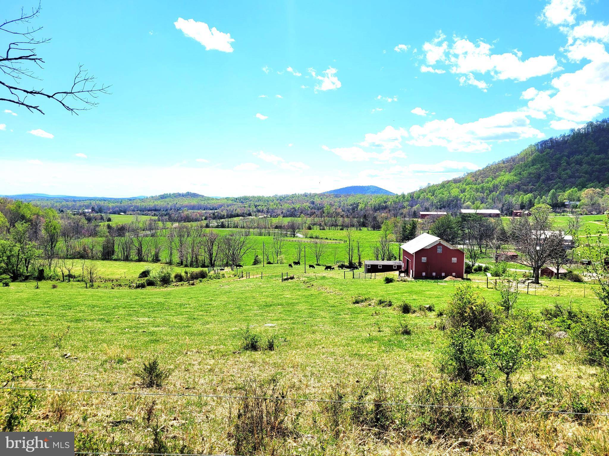 Stanardsville, VA 22973,LOT 40 FARMVIEW