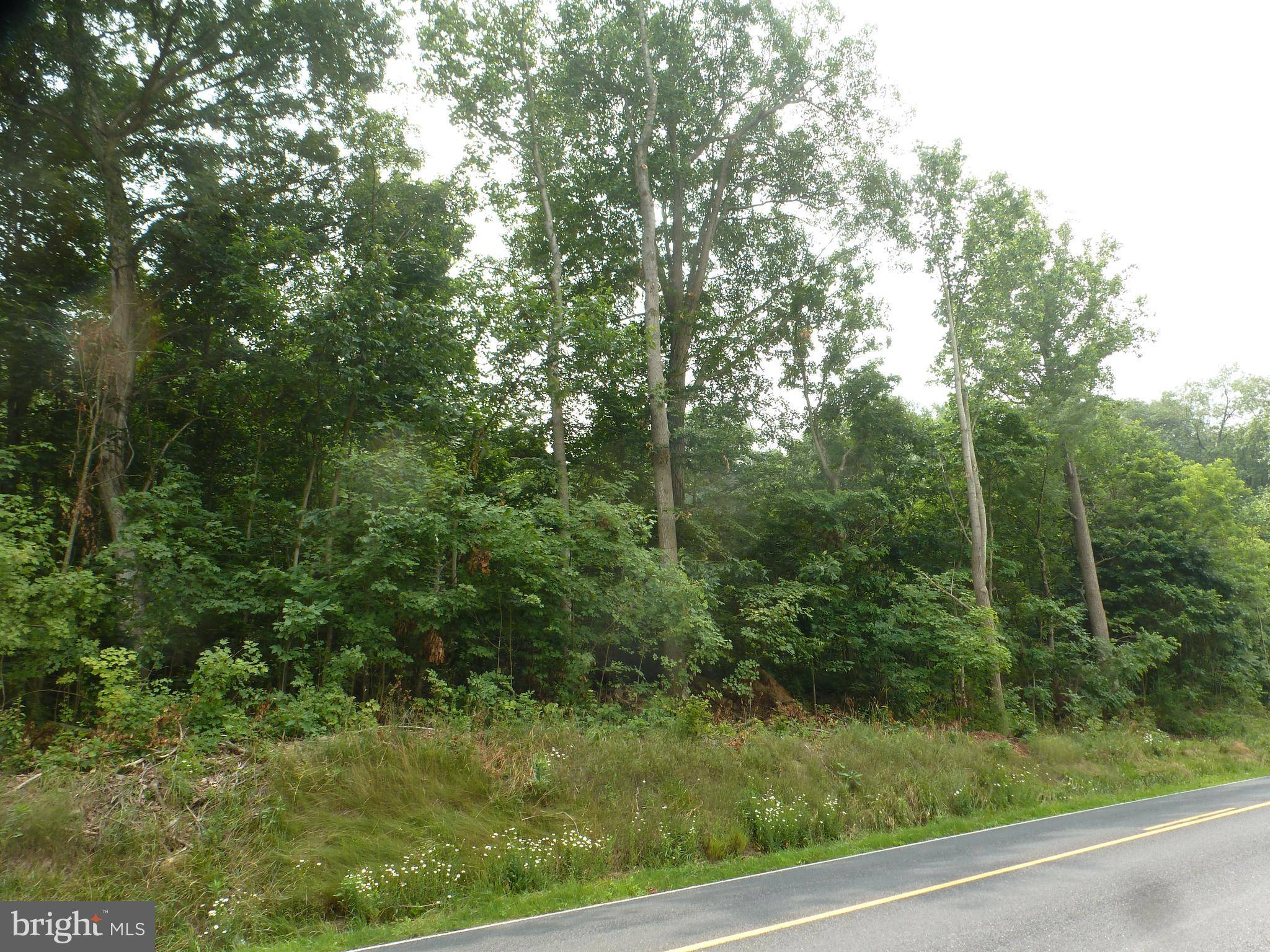 Honey Grove, PA 17035,LOT #1 RT 75 S