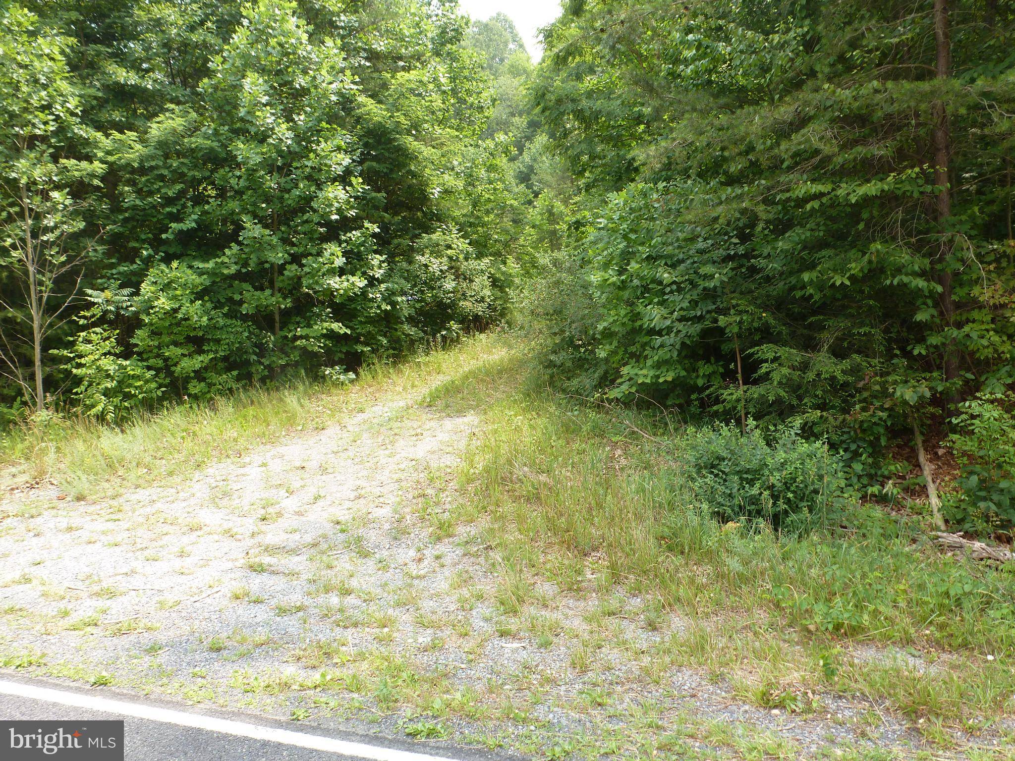 Honey Grove, PA 17035,LOT #1 RT 75 S