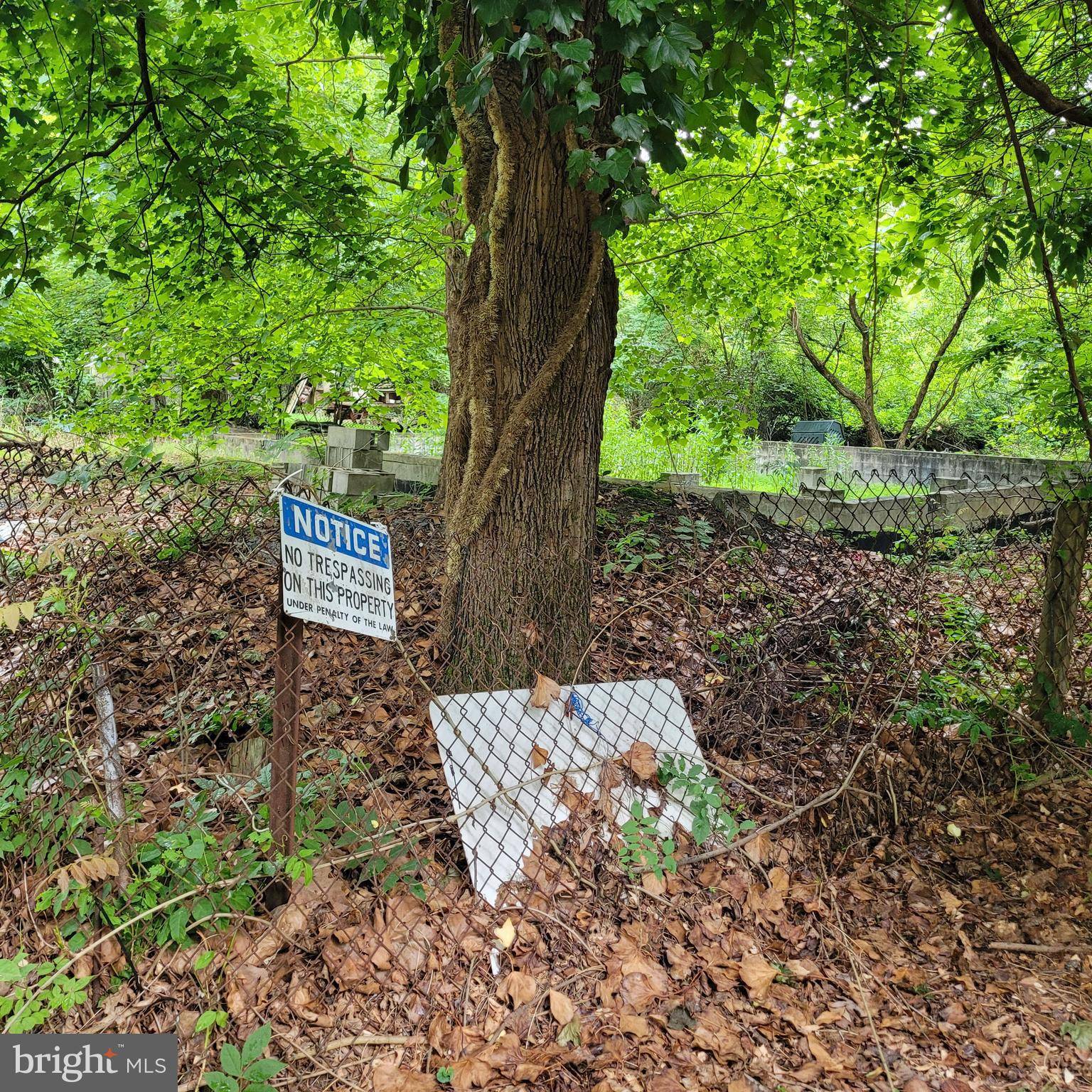 Browns Mills, NJ 08015,710 TAFT ST